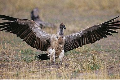 《赛博朋克2077》销量超1800万 资料片将有新故事线